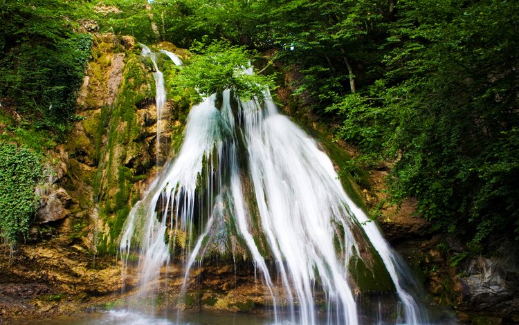 деревья, камни, лес, скала, водопад, хорватия, plitvice lakes national park, trees, stones, forest, rock, waterfall, croatia