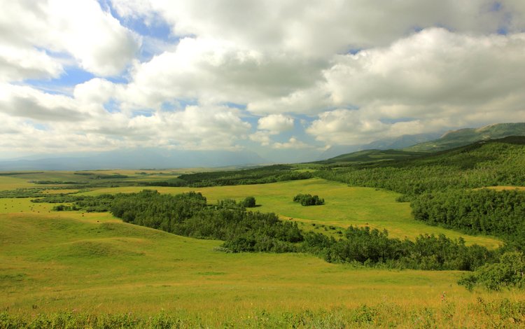 облака, горы, лес, поля, канада, луга, провинция альберта, clouds, mountains, forest, field, canada, meadows, alberta