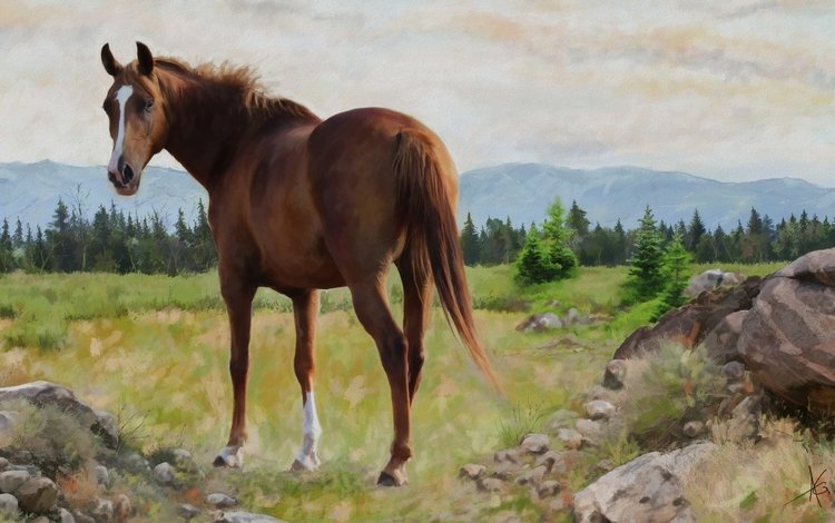 лошадь, природа, картина, пейзаж, графика, конь, живопись, horse, nature, picture, landscape, graphics, painting