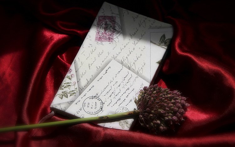 фон, цветок, письмо, background, flower, letter