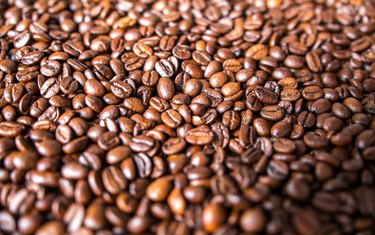 зерна, кофе, много, кофейные зерна, grain, coffee, a lot, coffee beans