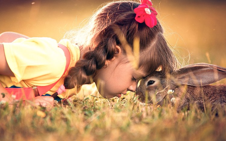 трава, девочка, ребенок, кролик, животное, дружба, заяц, grass, girl, child, rabbit, animal, friendship, hare