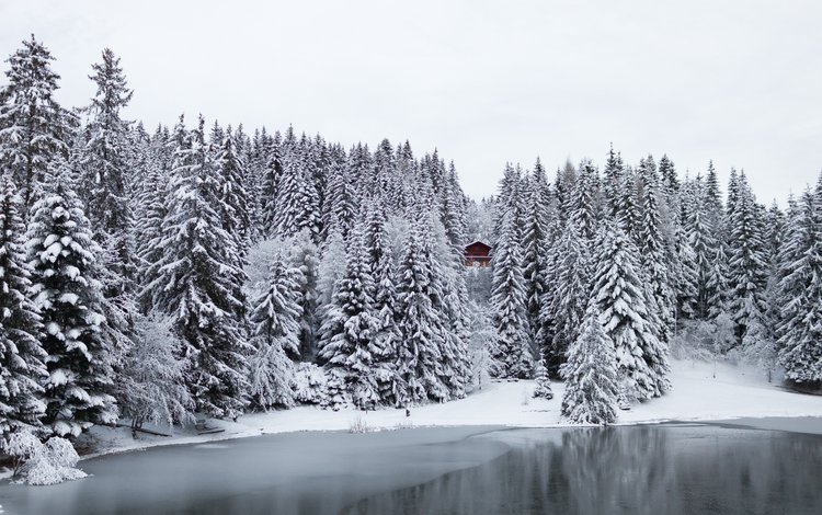деревья, озеро, снег, лес, зима, швейцария, домик, trees, lake, snow, forest, winter, switzerland, house