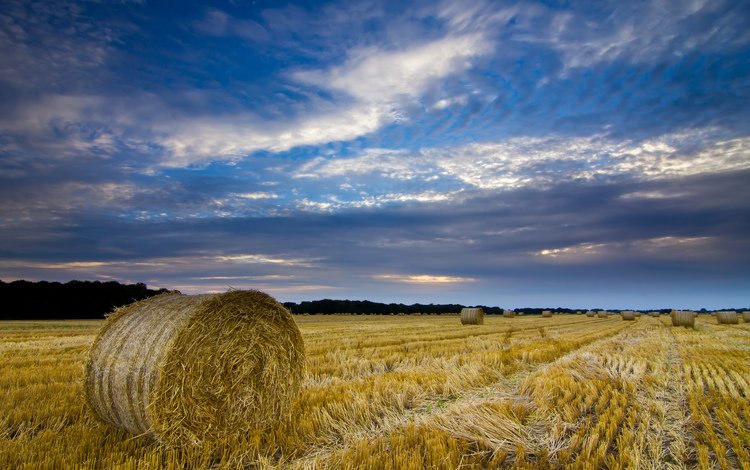 небо, синее, облака, солома, вечер, тюки, тучи, поле, графство, сено, норфолк, великобритания, англия, урожай, harvest, the sky, blue, clouds, straw, the evening, bales, field, county, hay, norfolk, uk, england