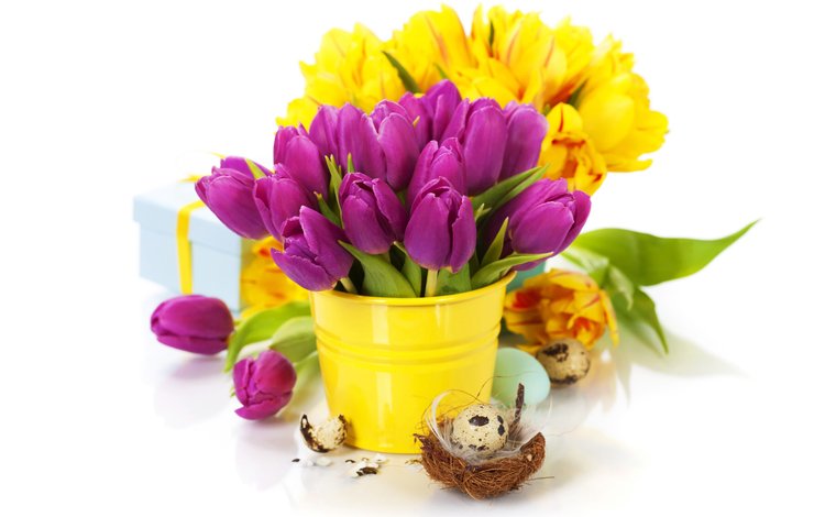 цветы, весна, тюльпаны, пасха,  цветы, весенние, зеленые пасхальные, flowers, spring, tulips, easter
