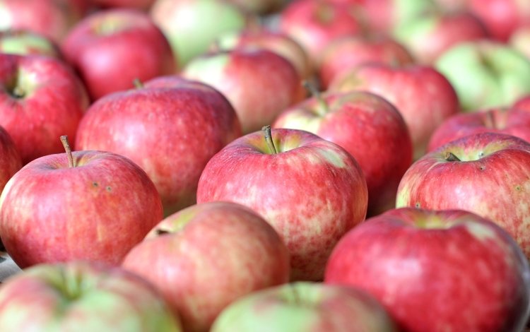 макро, фрукты, яблоки, плоды, macro, fruit, apples