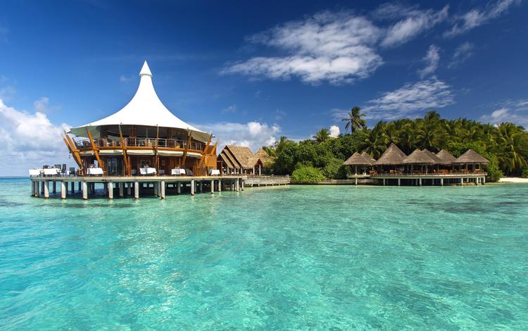 пальмы, океан, экзотика, отель, мальдивы, fantastic maldives, palm trees, the ocean, exotic, the hotel, the maldives, magnificent maldives