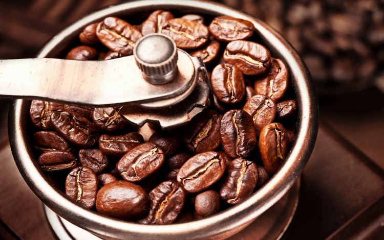 зерна, кофе, кофейные, зерна кофе, кофемолка, бобы, grain, coffee, coffee beans, coffee grinder, beans