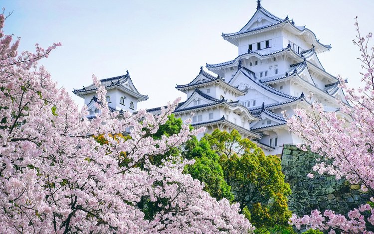 деревья, замок, пагода, япония, сад, сакура, замок химэдзи, trees, castle, pagoda, japan, garden, sakura, himeji castle