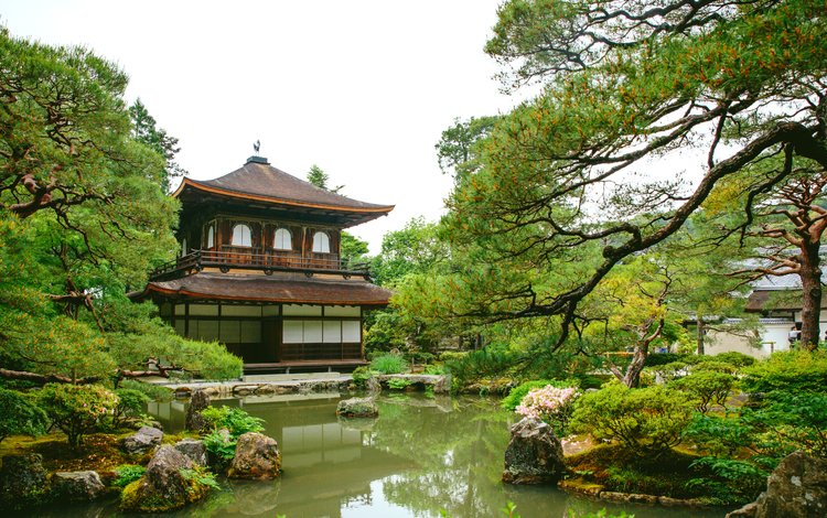 вода, зелень, парк, пагода, япония, сосны, пруд, серебряный павильон, гинкаку-дзи, water, greens, park, pagoda, japan, pine, pond