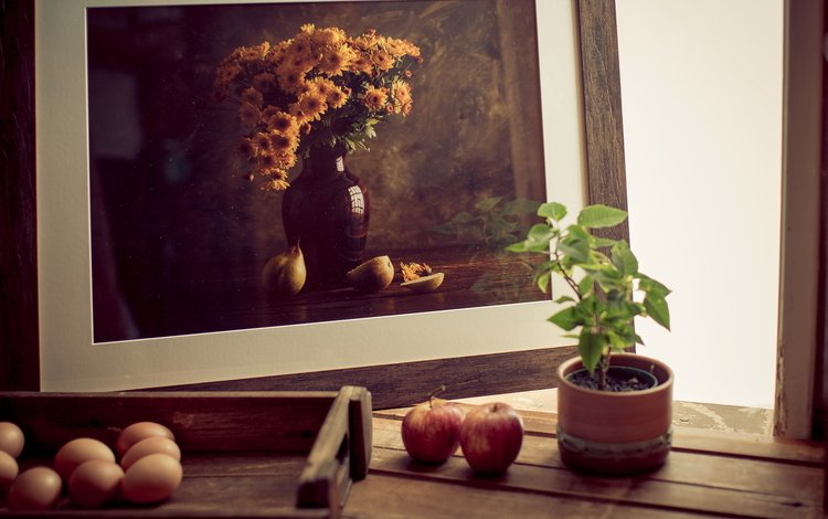 яблоки, растение, яйца, рамка, фотография, натюрморт, горшочек, apples, plant, eggs, frame, photo, still life, pot