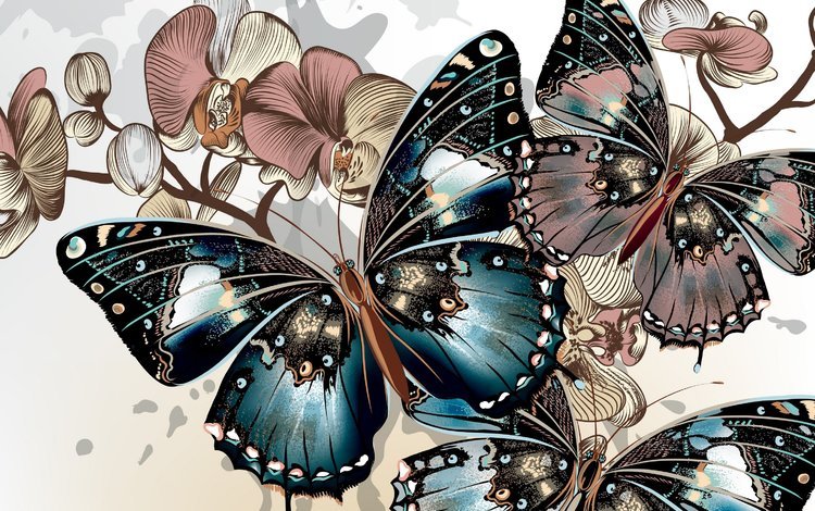 цвета, фон, вектор, крылья, бабочки, окрас, color, background, vector, wings, butterfly