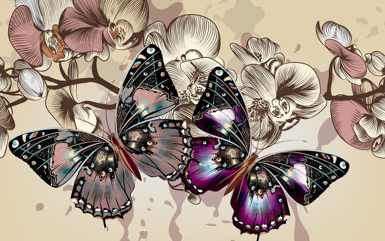 цветы, цвета, фон, вектор, крылья, бабочки, flowers, color, background, vector, wings, butterfly
