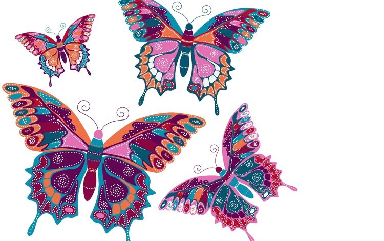 фон, вектор, бабочки, background, vector, butterfly