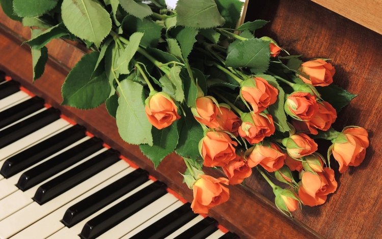 цветы, бутоны, розы, пианино, букет цветов, flowers, buds, roses, piano, a bouquet of flowers