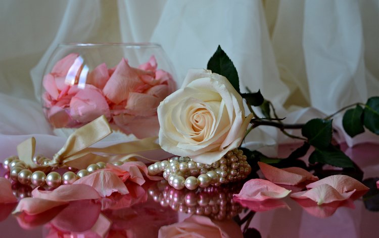 роза, лепестки, ткань, ожерелье, rose, petals, fabric, necklace