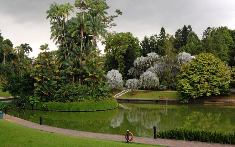 трава, botanic gardens, деревья, дизайн, парк, пальмы, пруд, газон, сингапур, grass, trees, design, park, palm trees, pond, lawn, singapore