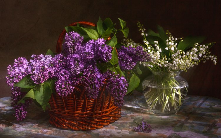 цветы, ландыши, весна, белые, сирень, букеты, лиловые, flowers, lilies of the valley, spring, white, lilac, bouquets, purple