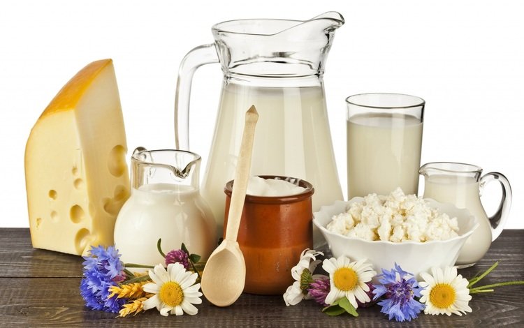 цветы, сыр, молоко, сметана, творог, молочные продукты, flowers, cheese, milk, sour cream, dairy products