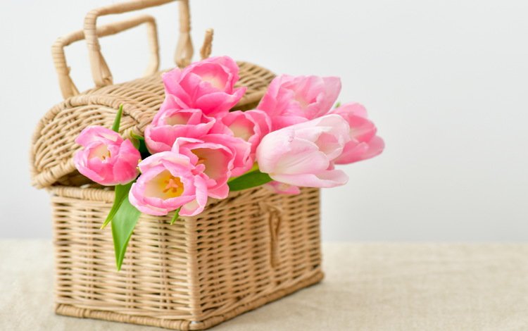 цветы, букет, корзина, тюльпаны, тульпаны,  цветы, pink-tulips-flowers-bouquet.jpg pink, flowers, bouquet, basket, tulips