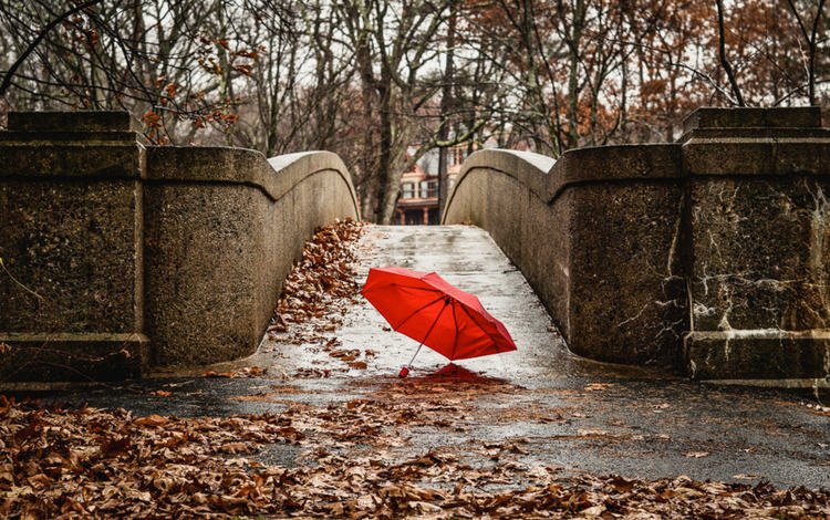 мост, город, осень, красный, зонтик, bridge, the city, autumn, red, umbrella