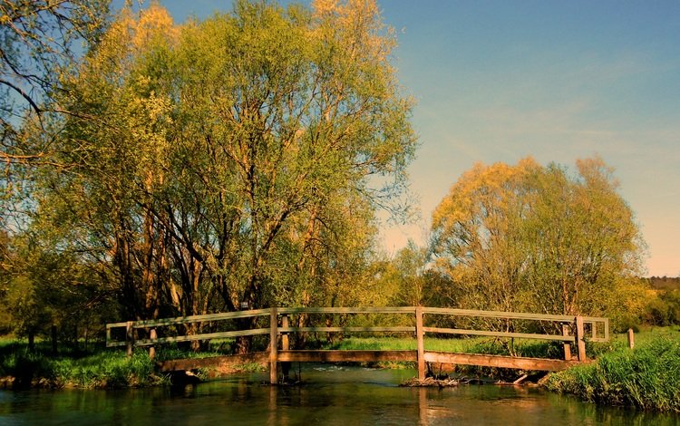 трава, деревья, мостик, мост, осень, водоем, пруд, опадают, осен, grass, trees, the bridge, bridge, autumn, pond, fall