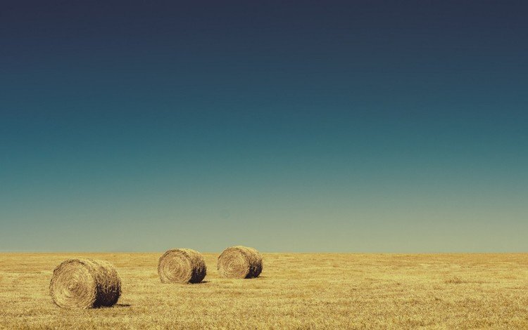 небо, поле, горизонт, сено, тюки, рулоны, the sky, field, horizon, hay, bales, rolls