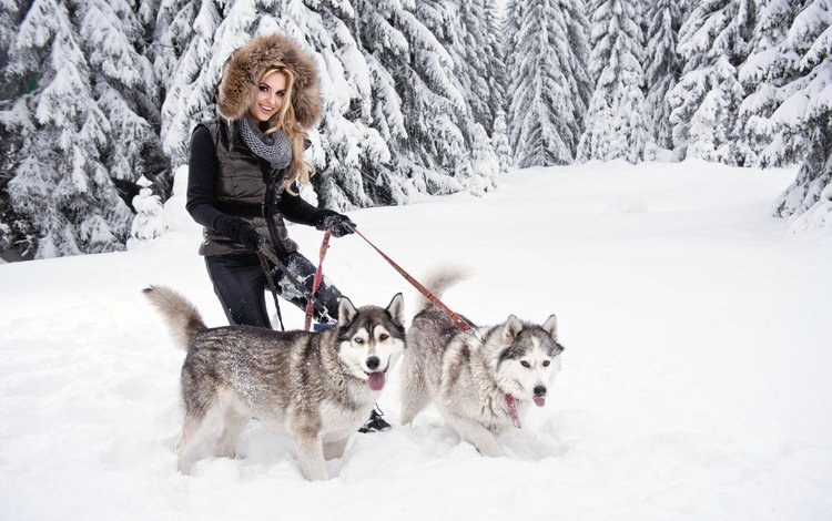 снег, собаки, лес, зима, девушка, блондинка, улыбка, хаски, мех, snow, dogs, forest, winter, girl, blonde, smile, husky, fur