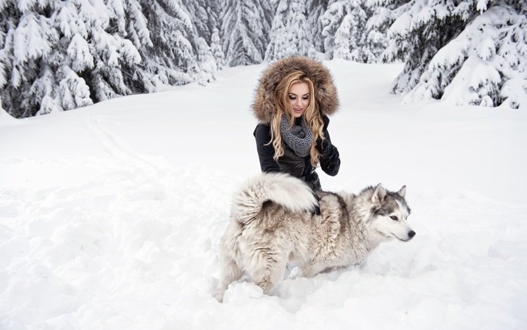 снег, лес, девушка, блондинка, взгляд, собака, хаски, snow, forest, girl, blonde, look, dog, husky