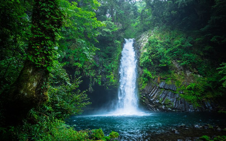 природа, лес, водопад, япония, nature, forest, waterfall, japan