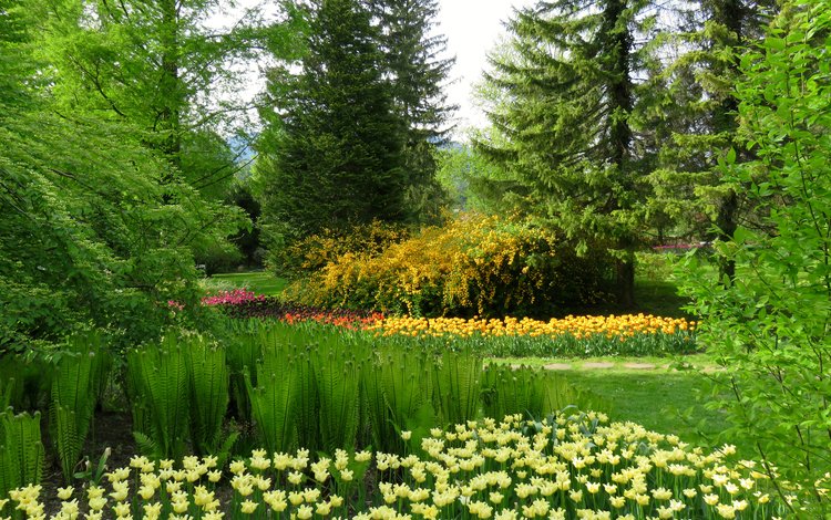 цветы, трава, деревья, зелень, парк, словения, mozirski gaj, flowers, grass, trees, greens, park, slovenia