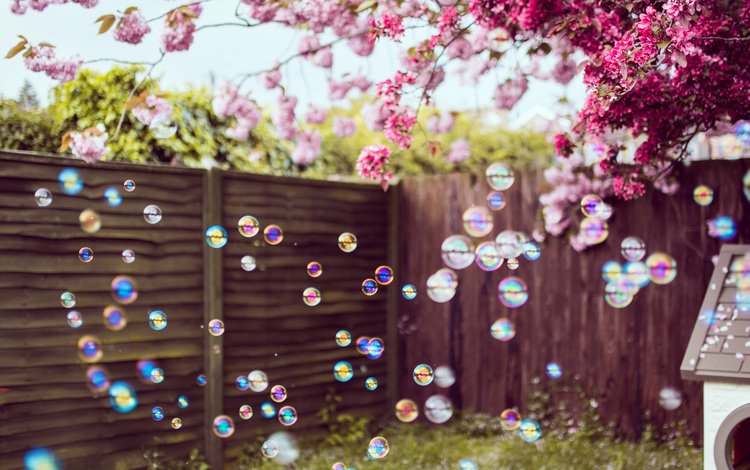 цветы, забор, весна, двор, мыльные пузыри, flowers, the fence, spring, yard, bubbles