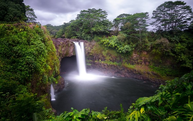 деревья, лес, скала, водопад, сша, тропики, гавайи, hilo, trees, forest, rock, waterfall, usa, tropics, hawaii