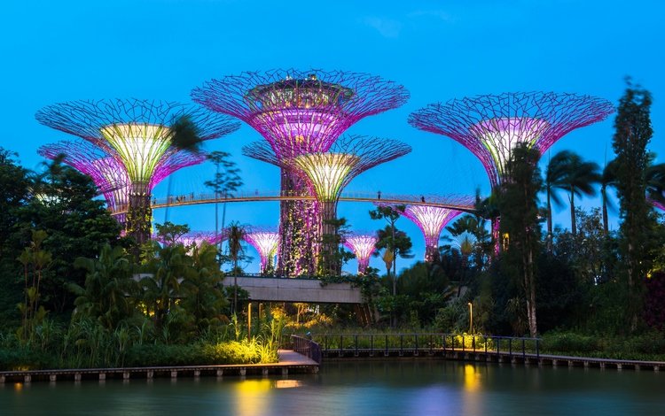 деревья, сингапур, вечер, gardens by the bay, дизайн, парк, иллюминация, пальмы, пруд, строение, trees, singapore, the evening, design, park, illumination, palm trees, pond, structure