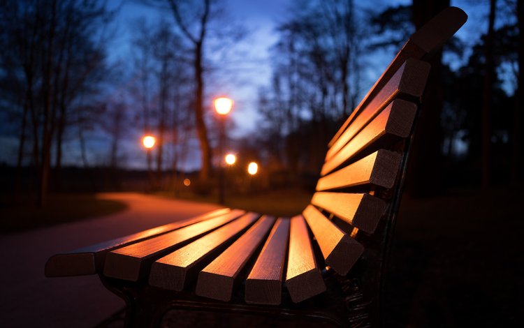 фонари, макро, парк, скамейка, lights, macro, park, bench