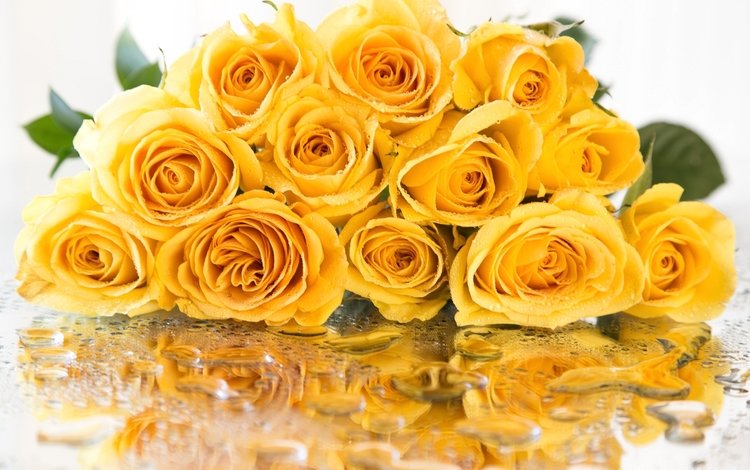 отражение, капли, розы, букет, желтые, reflection, drops, roses, bouquet, yellow