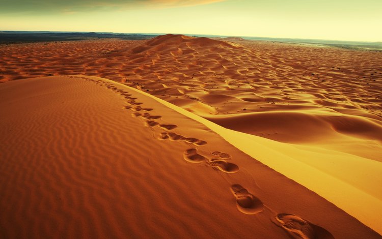 пейзаж, песок, пустыня, следы, дюны, сахара, дюны. galyna andrushko, galyna andrushko, landscape, sand, desert, traces, dunes, sugar, dunes. galyna andrushko