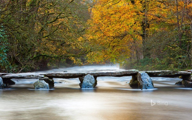 река, природа, мостик, лес, осень, bing, river, nature, the bridge, forest, autumn