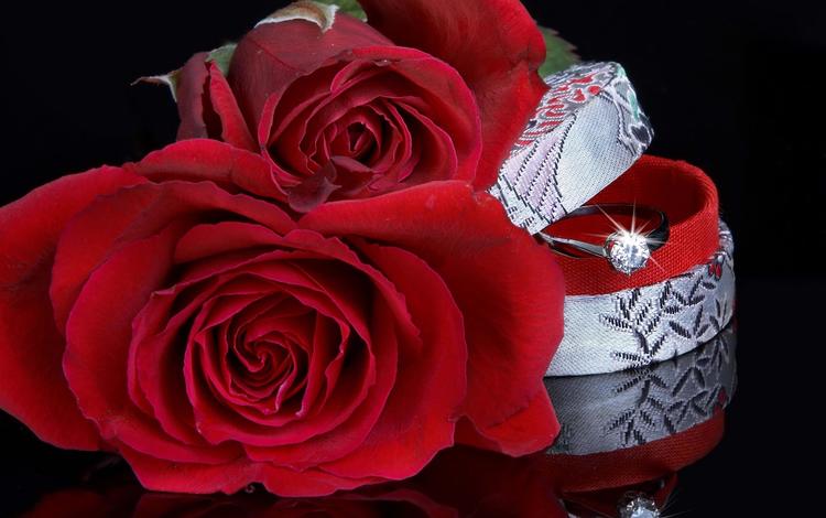 розы, красный, кольцо, свадьба, коробка, roses, red, ring, wedding, box