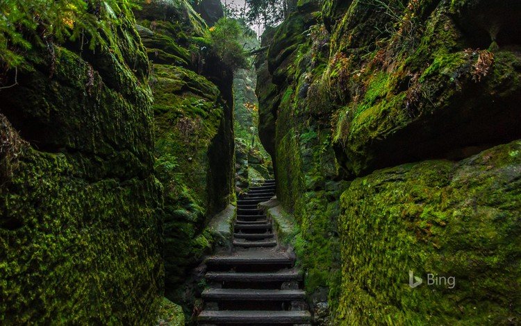 скалы, природа, лестница, bing, rocks, nature, ladder