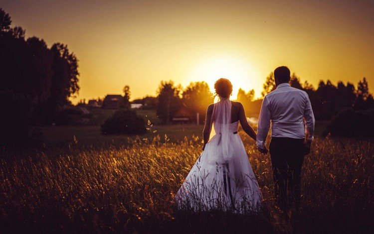 закат, поле, жених, свадьба, невеста, sunset, field, the groom, wedding, the bride