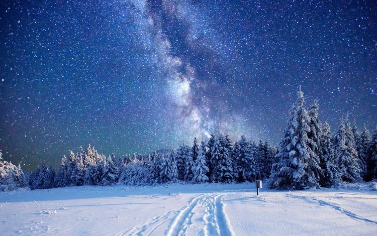 небо, деревья, лес, зима, звезды, млечный путь, the sky, trees, forest, winter, stars, the milky way