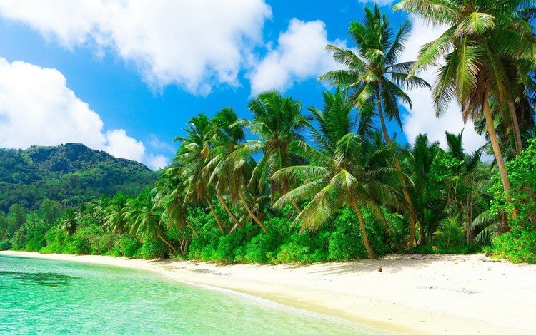 облака, тропики, природа, пейзаж, море, песок, пляж, лето, пальмы, clouds, tropics, nature, landscape, sea, sand, beach, summer, palm trees