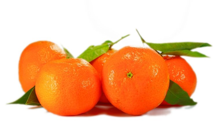 листья, фрукты, апельсины, плоды, мандарины, парное, свежие,  листья, leaves, fruit, oranges, tangerines, fresh