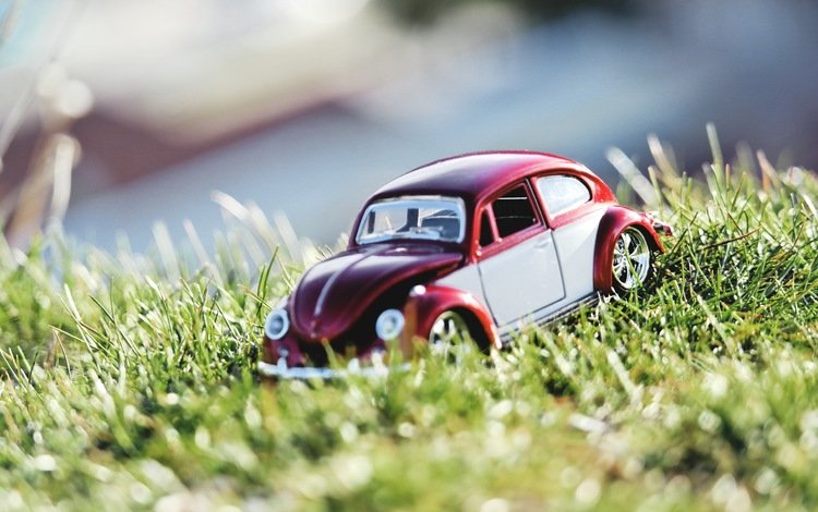 трава, солнце, природа, лето, игрушка, автомобиль, игрушечный автомобиль, grass, the sun, nature, summer, toy, car, toy car
