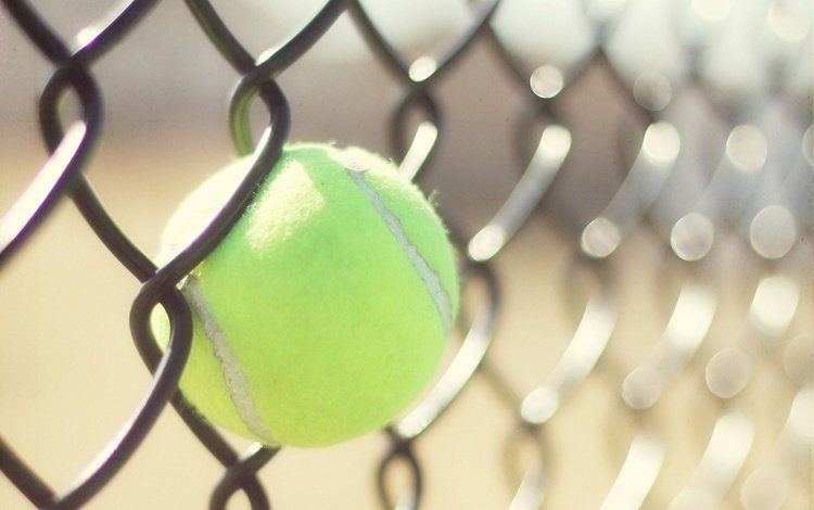 забор, сетка, тенис, спорт, мяч, теннис, бал, the fence, mesh, tennis, sport, the ball, ball