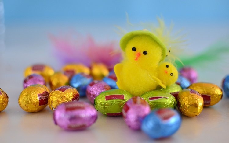 птенец, красочные, пасха, зеленые пасхальные, красочная, шоколадные яйца, пасхальный цыпленок, chick, colorful, easter, chocolate eggs, easter chick