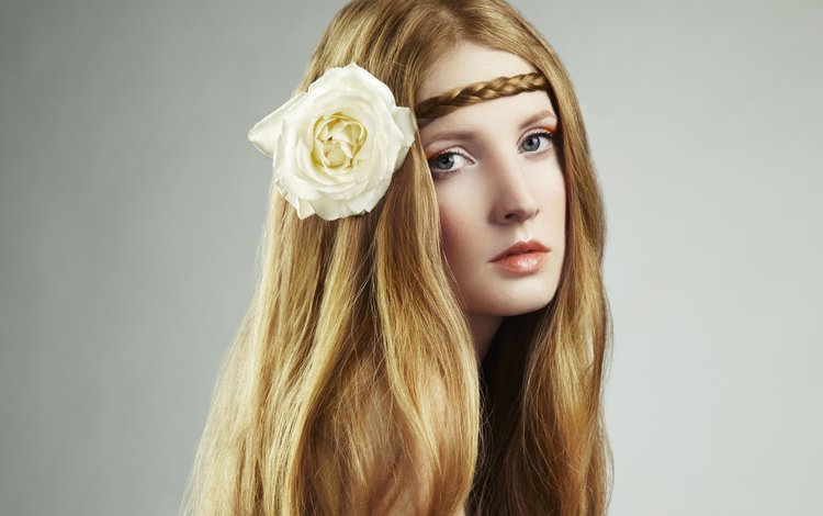 девушка, цветок, взгляд, лицо, длинные волосы, косичка, белая роза, girl, flower, look, face, long hair, pigtail, white rose