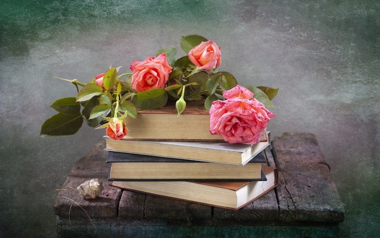 цветы, розы, книги, доски, ракушка, натюрморт, композиция, flowers, roses, books, board, shell, still life, composition