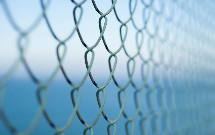 макро, фон, забор, сетка, рабица, macro, background, the fence, mesh, netting